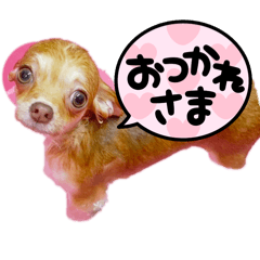 Azu_20250205121328