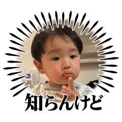 mai_20250205125228
