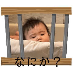 Kyoko_20250205131428