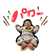 ANJIstamp2
