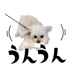 hana_20250205135443