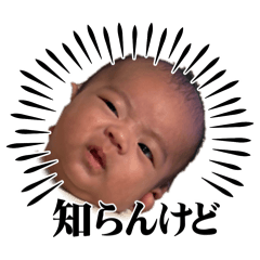 ysdmek_20250205001517