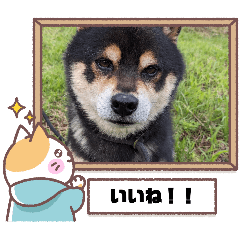 RYO_20250205150353
