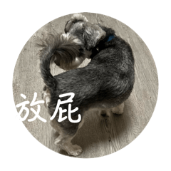 珍珠不是豬