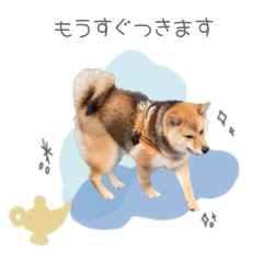 @panchananimal119 stamp