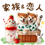 shibainu family & lover