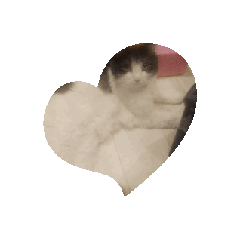nanami_20250205160851
