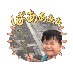 N_20250205190710