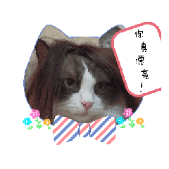 咪咪物語۹(๑•̀ω•́ ๑)۶