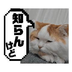 yuko_20250205233222