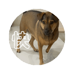 Winnie_20250204235524