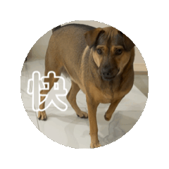 Winnie_20250204235524