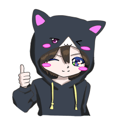 Bicolor cat ears hoodie boy