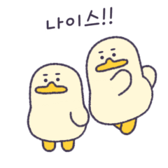 Edwarduck