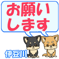 Izukawa's letters Chihuahua2