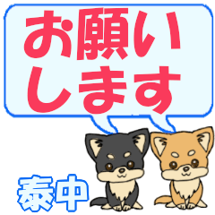 Yasunaka's letters Chihuahua2 (2)