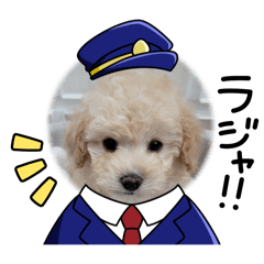 rena_20250205154800
