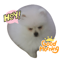 omochi_20250205181841