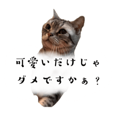 teru_20250205170144
