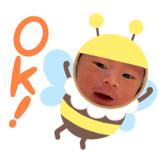 Daily Ayasemaru