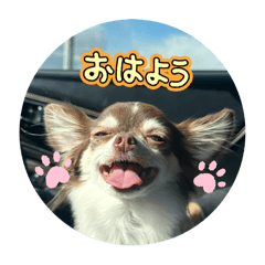 wakana_20250205190609
