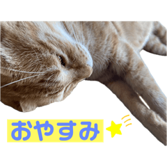 Yuka_20250205205134