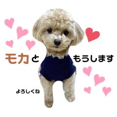 chii_20250205210050