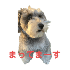 aoi_20250205211036