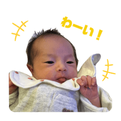 momo_20250205202621