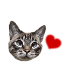 LOVE_20250205213851