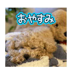 nao_20250205213330