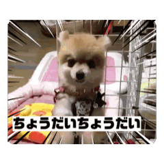mai_20250206115801