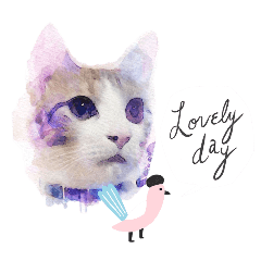 TAKANEKO_20250205183024