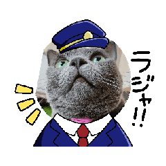 megu_20250206120549