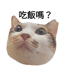 葉家花花