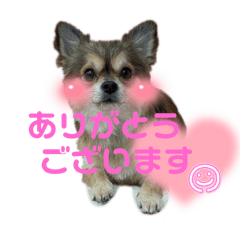 natsu_20250205232128