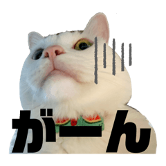 c_20250205231222