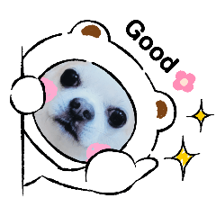 megu_20250205232029