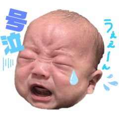 ym_20250205234616