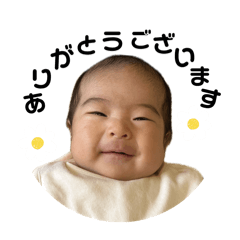 moe_20250206001142