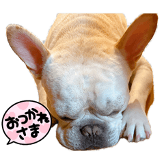 yukoLovedog