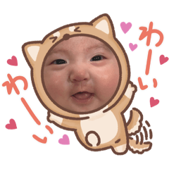 momo_20250206003556