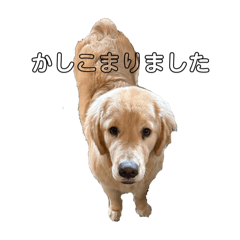 YE_20250206010156