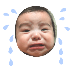 YOTA_20250206