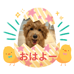 moka_moka.