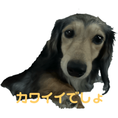 yuka_20250206080801