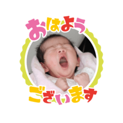 Momo_20250206133624