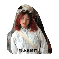 家魚的進化史2