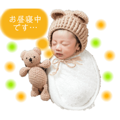 ami_20250206120400