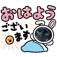 saya_20250206121804